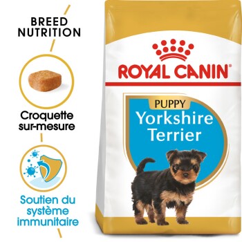 Yorkshire Terrier Chiot Croquettes Chien 1,5 kg