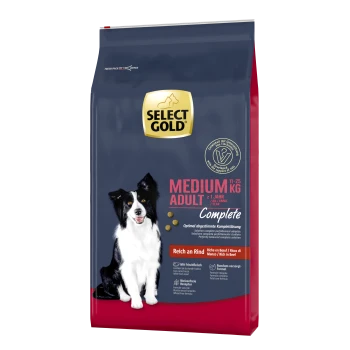 Dog food bag with a black and white dog, labeled "SELECT GOLD MEDIUM ADULT 11-25 KG," rich in beef.