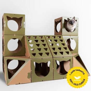 Katzenhaus The Royal Castle Grün Eine verspielte Katze mit blauen Augen sitzt in einer Papp-Kletterstruktur mit mehreren Öffnungen und Rampen, die mit einem Garantiesiegel gekennzeichnet ist.