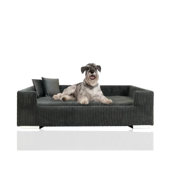 Ein gemütliches dunkelgraues Haustiersofa, auf dem ein Hund bequem liegt, mit zwei dekorativen Kissen auf einer Seite.