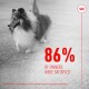 A happy Shetland Sheepdog on a leash, with bold text stating "86% OF OWNERS WERE SATISFIED*" and a note about Royal Canin supplements.