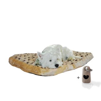 Ein gemütliches Haustierbett mit einem Pfotenabdruckdesign, mit einem schlafenden Hund darauf, begleitet von einem beigen Haustierzubehör.