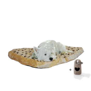 Ein gemütliches Haustierbett mit einem Pfotenabdruckdesign, mit einem schlafenden Hund darauf, begleitet von einem beigen Haustierzubehör.