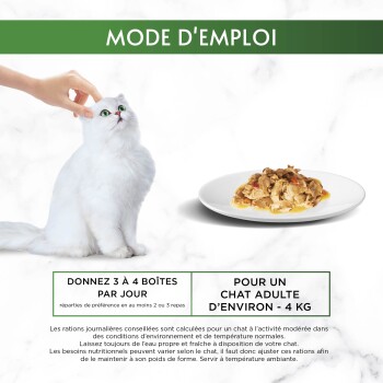 Chat blanc à poils longs caressé à côté d'une assiette de nourriture humide pour chat ; texte visible «MODE D'EMPLOI» et «3 à 4 boîtes par jour».