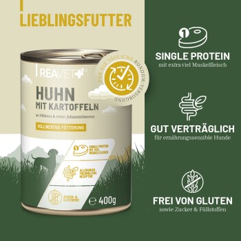 Dosen-Hundefutter "Huhn mit Naturreis" mit Huhn, Karotten und roten Johannisbeeren; einzelnes Protein, glutenfrei, für empfindliche Hunde.