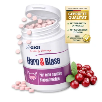 Behälter mit "Harn & Blase" Tabletten für Hunde (28 Tabletten) mit Cranberries und grünen Blättern. Text: "Für eine normale Blasenfunktion."