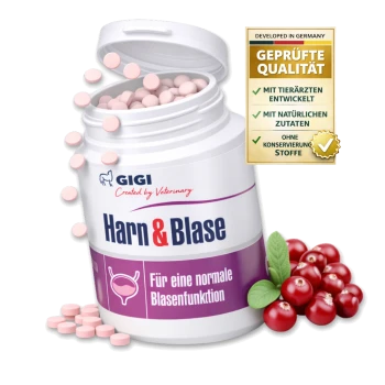 Behälter mit "Harn & Blase" Tabletten für Hunde (28 Tabletten) mit Cranberries und grünen Blättern. Text: "Für eine normale Blasenfunktion."
