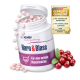 Behälter mit "Harn & Blase" Tabletten für Hunde (28 Tabletten) mit Cranberries und grünen Blättern. Text: "Für eine normale Blasenfunktion."