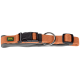 Oranger Hundehalsband mit einer schwarzen Schnalle und einem Metall-D-Ring, mit einem kleinen grünen und gelben 'HUNTER'-Logo.
