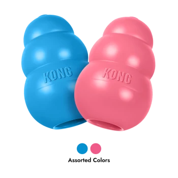 Jouets pour chiens KONG bleus et roses, embossés "KONG", avec des points colorés et le texte "Couleurs assorties".