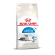 Royal Canin Indoor Katzenfutter für Katzen ab 7 Jahren, mit einer grauen getigerten Katze auf der Verpackung und dem Label "Vitality Complex."