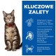 Tabby kot z zielonymi oczami i czerwoną obrożą siedzi na białym tle, z polskim tekstem wymieniającym korzyści takie jak Witamina E i Omega-3.