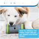 Spiel und Spaß im Haus: Kibble Chase Spielzeug für Hunde, ideal für Teppich und harte Böden.