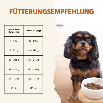 Fütterungstabelle für Hunde, die Gewichtskategorien (1-40+ kg) und tägliche Futtermengen in Gramm anzeigt, mit einem Hund neben einer Futterkugel.