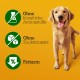 Ein glücklicher Golden Retriever auf einem hellgelben Hintergrund mit dem Text: "Keine künstlichen Aromen", "Keine zugesetzten Zucker" und "Wenig Fett."