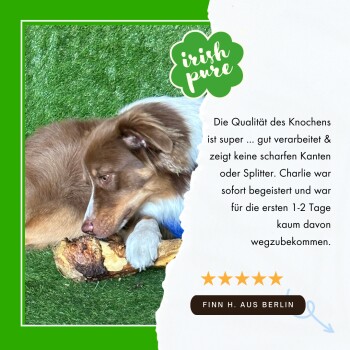 Ein brauner und weißer Hund liegt auf grünem Gras und kaut auf einem Holzstock, mit einem Testimonial, das die Qualität des Knochens lobt.