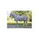 Ein Pferd, das eine schwarz-weiße, zebra-gestreifte Decke trägt, steht auf Gras, umgeben von Bäumen, und zeigt ein einzigartiges und verspieltes Design.