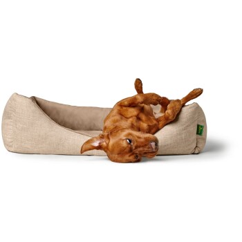 Ein verspielter, brauner Hund liegt kopfüber auf einem gemütlichen, beigen Hundebett und zeigt seine entspannte Haltung und verspielte Art.