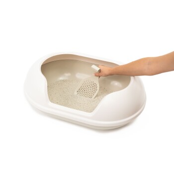 Eine Hand, die eine Schaufel hält, wird in einer sauberen, weißen Katzentoilette gezeigt, die mit hellfarbigem Streu gefüllt ist.