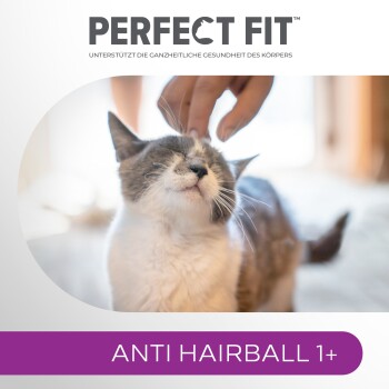 Eine Person streichelt sanft eine grau-weiße Katze, mit dem Text "PERFECT FIT" und "ANTI HAIRBALL 1+" deutlich darunter angezeigt.