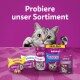 Eine verspielte graue Katze schaut aus einem lila Hintergrund hervor und präsentiert Whiskas-Leckerlis und Katzenmilch mit "Probiere unser Sortiment" und "MEGA PACK."