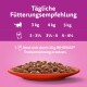 Schüssel mit Katzenfutter auf einem lila Hintergrund, der Fütterungsempfehlungen für 3 kg, 4 kg und 5 kg Katzen zeigt: 16 g WHISKAS® pro Portion.