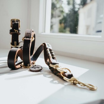 Eine stilvolle braune Lederhundeleine mit goldenen Beschlägen, die auf einer Fensterbank ruht und von natürlichem Licht beleuchtet wird.