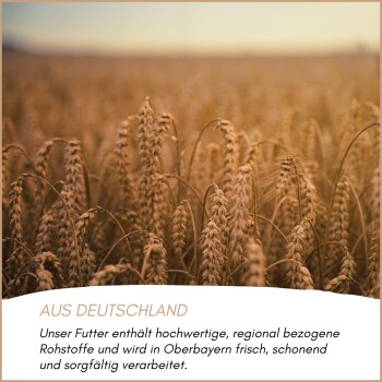 Nahaufnahme goldener Weizenähren mit Aufkleber 'AUS DEUTSCHLAND' und deutschem Text über Futter aus regionalen Zutaten aus Oberbayern