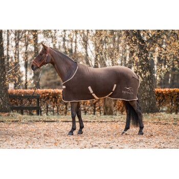 Ein braunes Pferd, das eine angepasste Decke mit dem Logo "EQUINATE" trägt, steht in einer herbstlichen Umgebung mit fallenden Blättern.