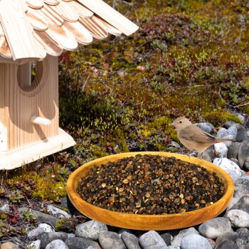 Ein kleiner brauner Vogel steht neben einem mit Samen gefüllten Holzvogelhaus, das auf einem Bett aus Kieseln und moosigem Boden steht.