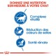 Image promouvant une nutrition sur mesure pour les chats, présentant des icônes et du texte : "Complexe vitalité," "Réduction des odeurs de selles," et "Santé rénale."
