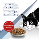 Un chat noir et blanc joueur s'approche d'un bol de croquettes colorées avec un texte sur des collations délicieuses et riches en protéines.