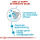 Infographic ter promotie van puppyvoeding: "Geef je puppy de perfecte start," met de nadruk op immuunondersteuning, spijsvertering en gematigde energie.