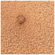 Nahaufnahme von beigem, lockigem Fleece-Stoff mit Knopf-Tuft-Detail, weiche Textur für Haustierbettwäsche oder Kleidung.