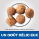 Cinq morceaux de croquettes pour animaux de compagnie disposés en cercle, avec une légende indiquant "UN GOÛT DÉLICIEUX" et des détails de taille de 14,5 x 14,5 mm.