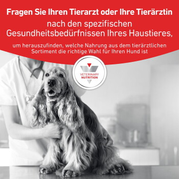 Tierarzt hält einen Cocker Spaniel auf dem Untersuchungstisch; rotes Banner mit dem Text 'Fragen Sie Ihren Tierarzt...' und 'VETERINARY NUTRITION'-Logo