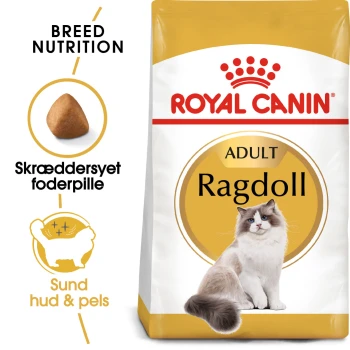Eine Tüte Royal Canin Adult Ragdoll Katzenfutter mit einer Illustration einer Ragdoll-Katze, mit Text, der die Ernährungsbedürfnisse der Rasse und Vorteile für Haut und Fell hervorhebt.