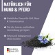 Natürliche Nahrungsergänzung für Hunde und Pferde, mit schwarzen Samen und einer blauen Blume, mit Text, der die Vorteile für Fell, Haut und Immunsystem hervorhebt.
