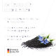 Natürliche Nahrungsergänzung für Hunde und Pferde, mit schwarzen Samen und einer blauen Blume, mit Text, der die Vorteile für Fell, Haut und Immunsystem hervorhebt.