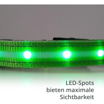 Grüner LED-Hundehalsband mit hellen weißen Lichtern, mit dem Text: "LED-Spots bieten maximale Sichtbarkeit."