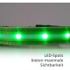 Grüner LED-Hundehalsband mit hellen weißen Lichtern, mit dem Text: "LED-Spots bieten maximale Sichtbarkeit."