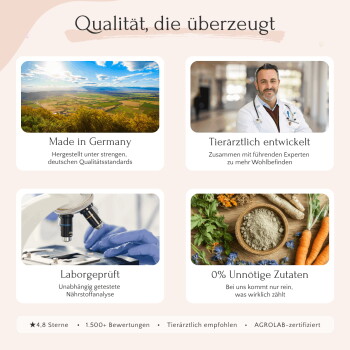 Titel „Qualität, die überzeugt“ mit vier Feldern: Made in Germany; Tierärztlich entwickelt; Laborgeprüft; 0 % unnötige Zutaten