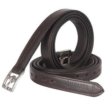 Leder Steigbügelriemen Superior mit Edelstahlschnallen braun 1,3 m