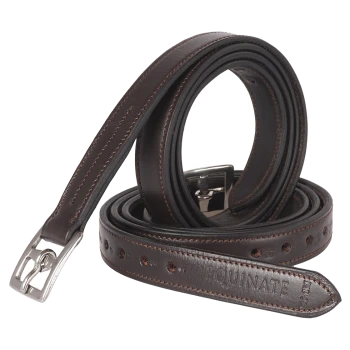 Braune Leder-Hundeleine mit silberner Metallschnalle, mit Nähdetails und dem Wort 'EQUINATE', das auf dem Riemen geprägt ist.