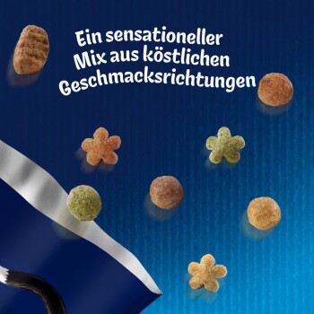 Farmhouse Sensations Kurczak & indyk 2 kg