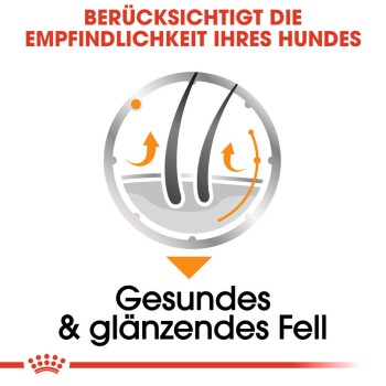 Illustration, die die Gesundheit des Hundepelzes hervorhebt, mit Pfeilen, die auf die Pflege empfindlicher Haut hinweisen, mit dem Text "Gesundes & glänzendes Fell."