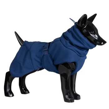 Ein schwarzes Hundemanikin, das einen blauen Hundemantel mit hohem Kragen trägt, der ein schlankes Design und verstellbare Riemen zeigt.