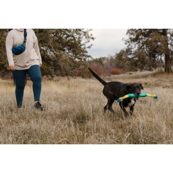 Eine Person geht auf einem grasbewachsenen Feld mit einem schwarzen Hund, der ein buntes Spielzeug im Mund trägt. Die Person trägt einen beigen Hoodie und türkisfarbene Leggings.