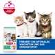 Drei Kätzchen mit roten Halsbändern neben einem Hill's Science Plan Kitten-Futtersack; deutscher Text: unterstützt Wachstum und das Immunsystem.