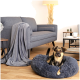 Ein gemütliches Hundebett in einem modernen Wohnzimmer, mit einem kleinen Hund, der bequem darauf ruht, umgeben von einem grauen Sofa und dekorativen Elementen.